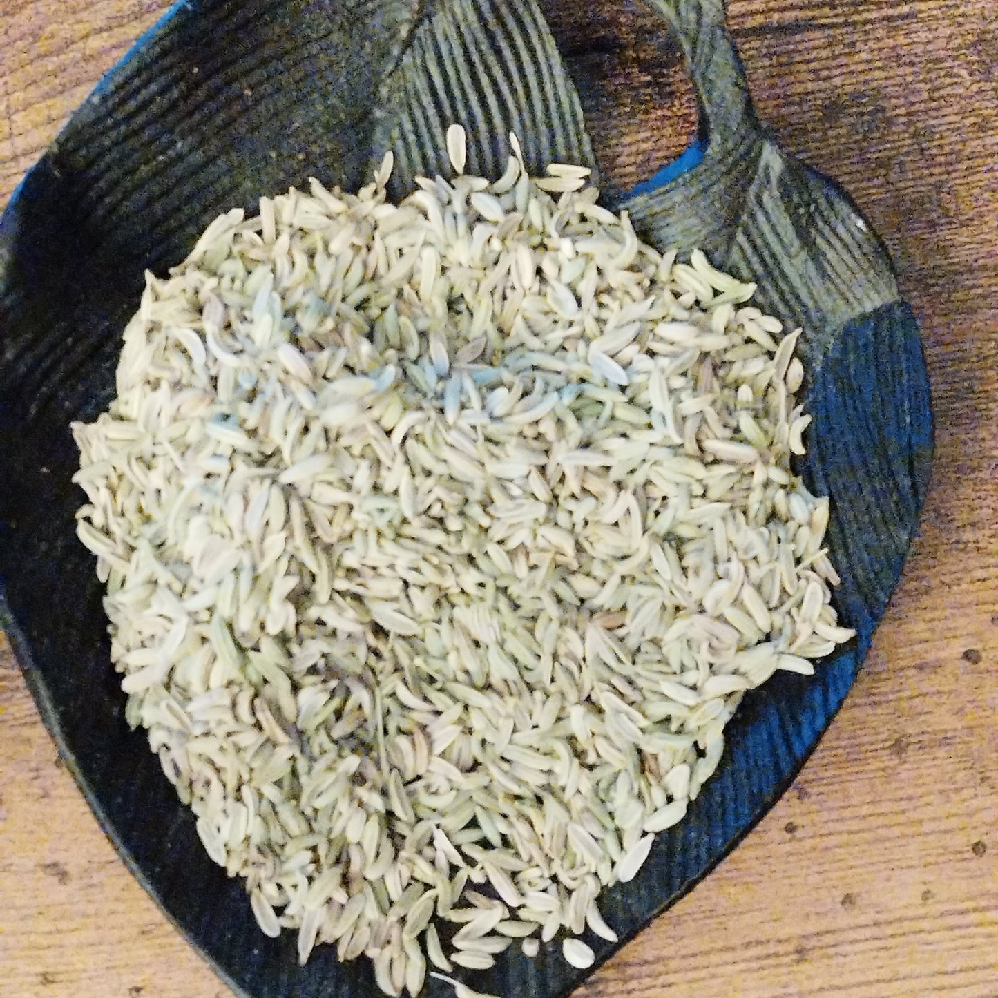 Graines fenouil habat halawa séchées 50g digestion médecine prophétique cuisine orientale