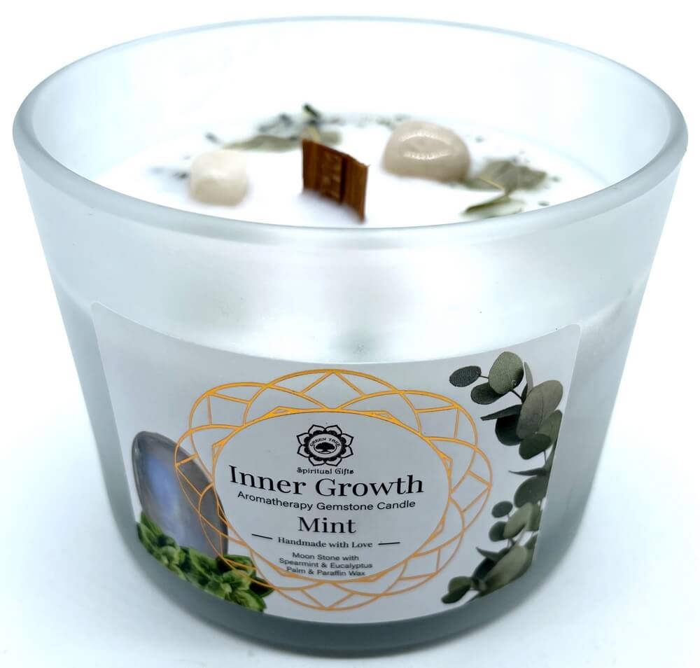 Bougie parfumée croissance intérieure pierre de lune menthe 256g Green Tree intuition