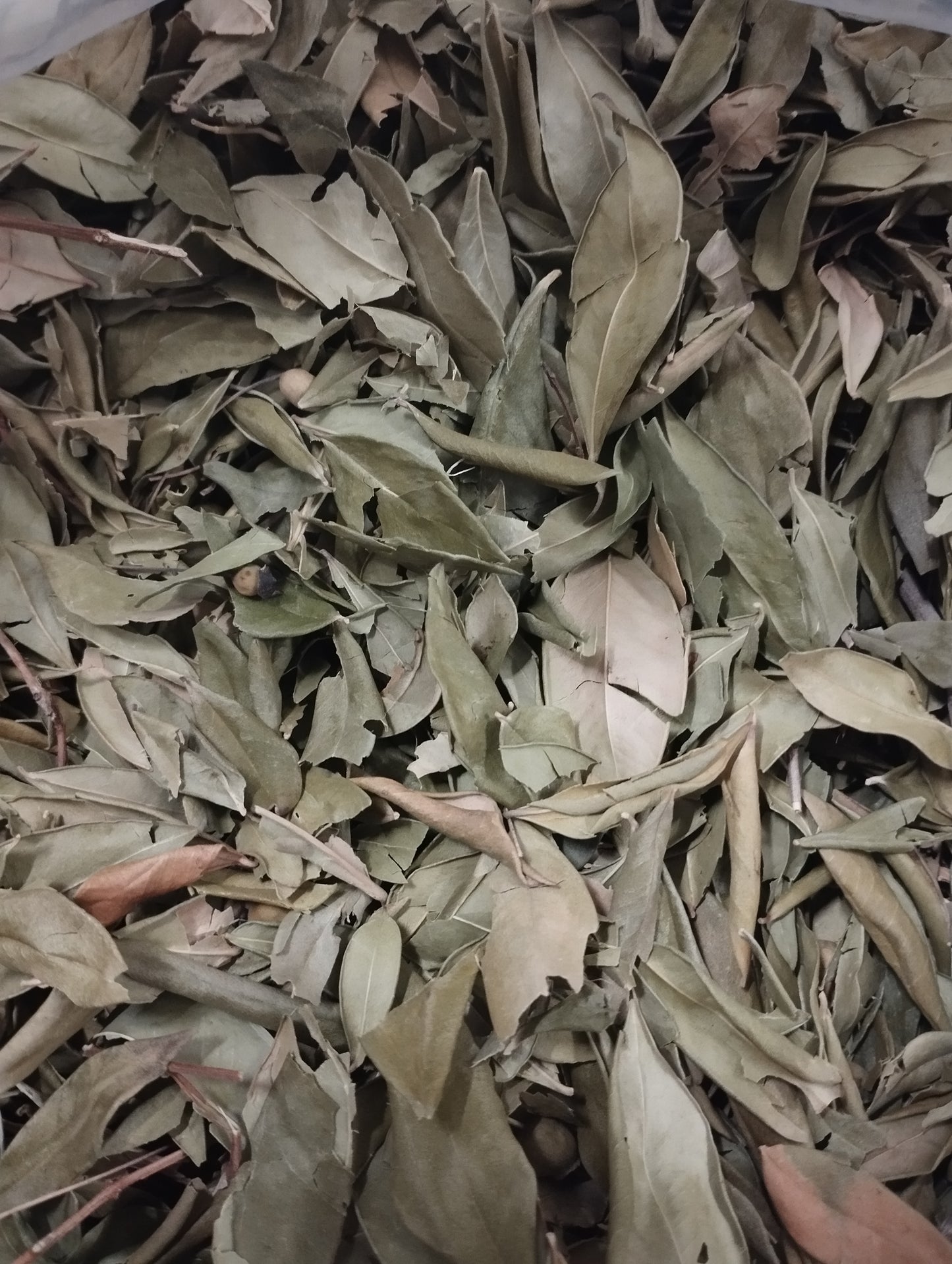 Myrte séchée raihane feuilles naturelles 50g médecine prophétique bien-être