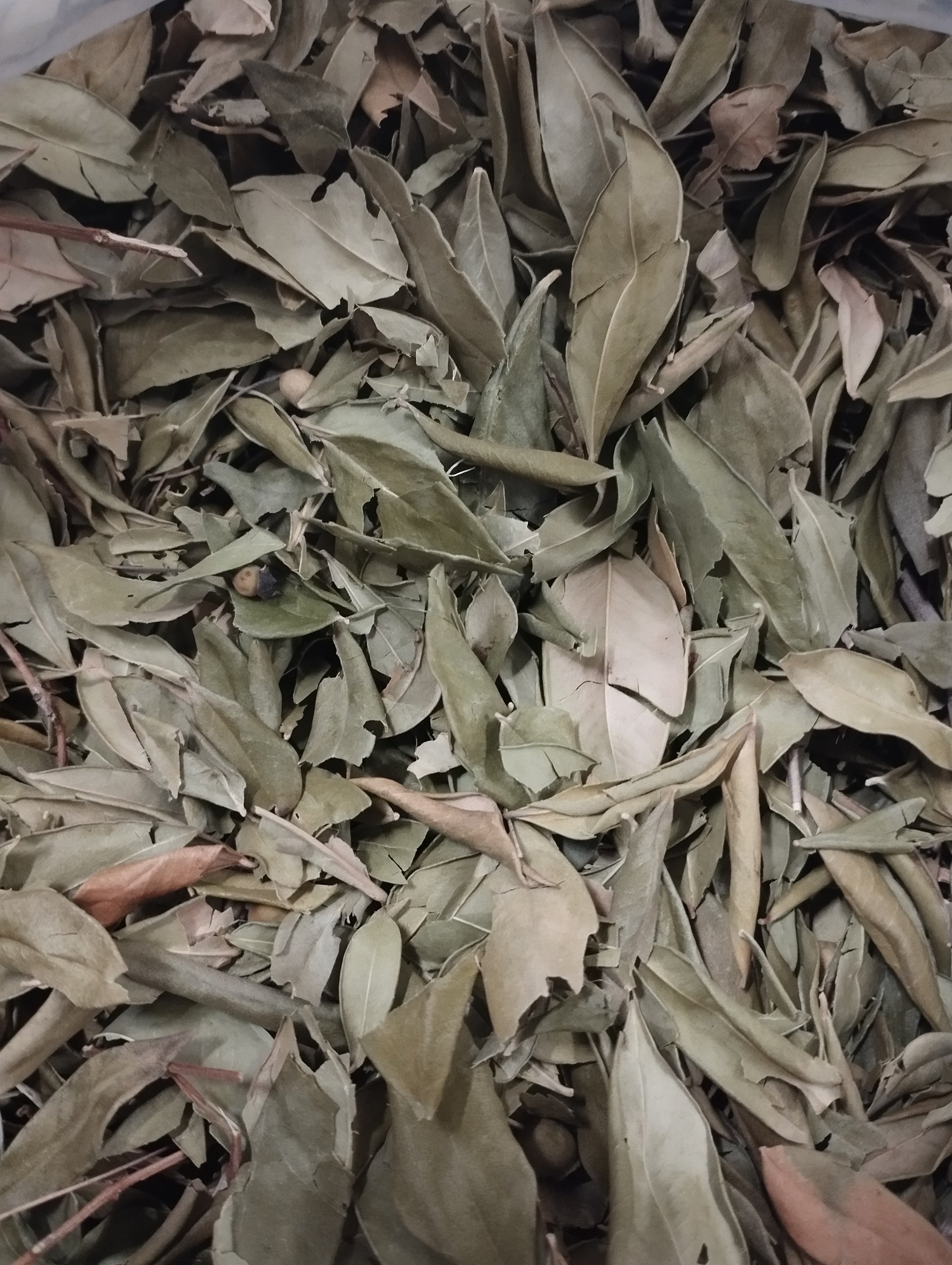Myrte séchée raihane feuilles naturelles 50g médecine prophétique bien-être